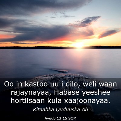 Picture 03 - Ayuub 13:15 SOM - Oo in kastoo uu i dilo, weli waan rajaynayaa, - Bible Verse Picture