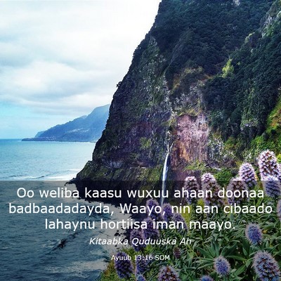 Picture 03 - Ayuub 13:16 SOM - Oo weliba kaasu wuxuu ahaan doonaa badbaadadayda, - Bible Verse Picture
