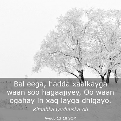 Picture 03 - Ayuub 13:18 SOM - Bal eega, hadda xaalkayga waan soo hagaajiyey, Oo - Bible Verse Picture