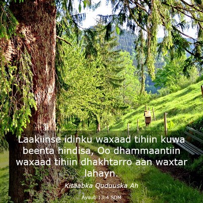 Picture 03 - Ayuub 13:4 SOM - Laakiinse idinku waxaad tihiin kuwa beenta - Bible Verse Picture