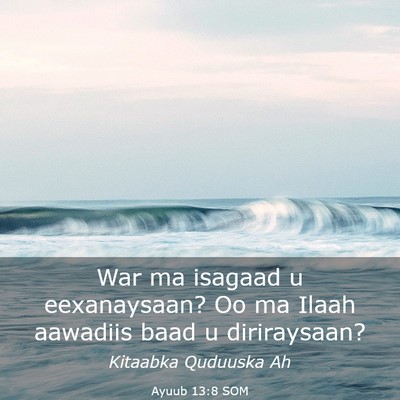 Picture 03 - Ayuub 13:8 SOM - War ma isagaad u eexanaysaan? Oo ma Ilaah - Bible Verse Picture