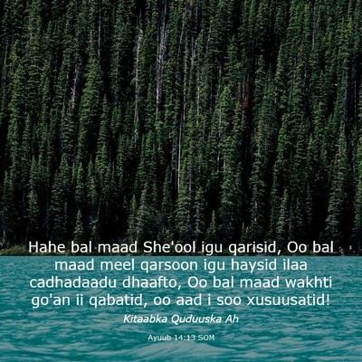 Picture 03 - Ayuub 14:13 SOM - Hahe bal maad She'ool igu qarisid, Oo bal maad - Bible Verse Picture
