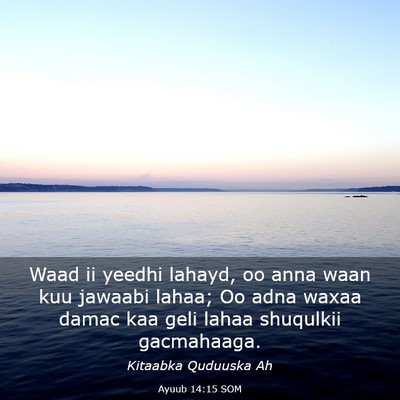 Picture 03 - Ayuub 14:15 SOM - Waad ii yeedhi lahayd, oo anna waan kuu jawaabi - Bible Verse Picture