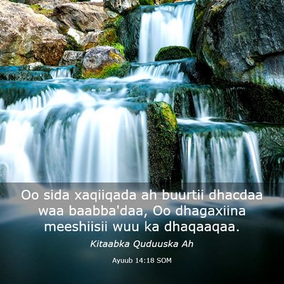 Picture 03 - Ayuub 14:18 SOM - Oo sida xaqiiqada ah buurtii dhacdaa waa - Bible Verse Picture