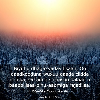 Picture 03 - Ayuub 14:19 SOM - Biyuhu dhagaxyaday lisaan, Oo daadkooduna wuxuu - Bible Verse Picture