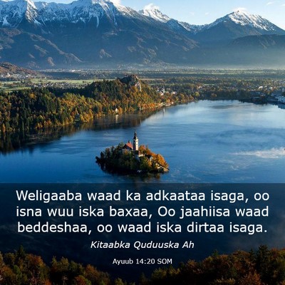 Picture 03 - Ayuub 14:20 SOM - Weligaaba waad ka adkaataa isaga, oo isna wuu - Bible Verse Picture