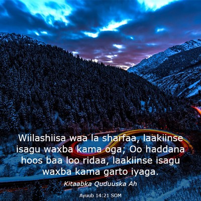 Picture 03 - Ayuub 14:21 SOM - Wiilashiisa waa la sharfaa, laakiinse isagu waxba - Bible Verse Picture