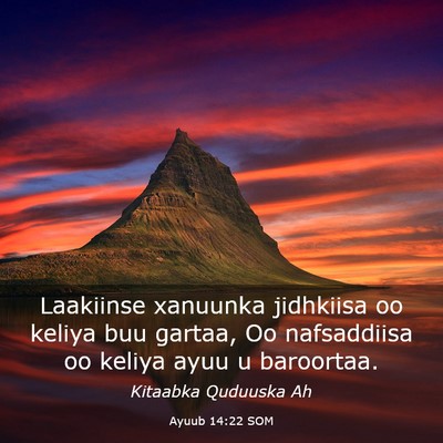 Picture 03 - Ayuub 14:22 SOM - Laakiinse xanuunka jidhkiisa oo keliya buu - Bible Verse Picture