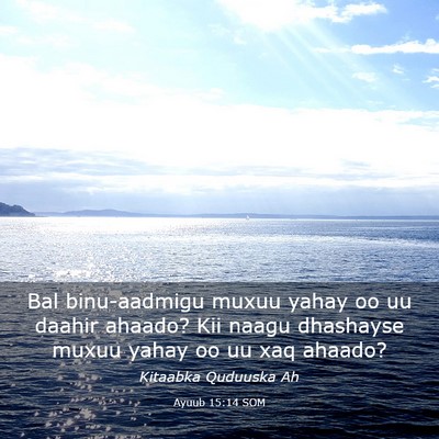 Picture 03 - Ayuub 15:14 SOM - Bal binu-aadmigu muxuu yahay oo uu daahir ahaado? - Bible Verse Picture