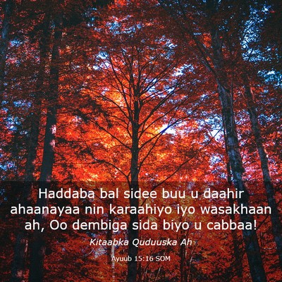 Picture 03 - Ayuub 15:16 SOM - Haddaba bal sidee buu u daahir ahaanayaa nin - Bible Verse Picture