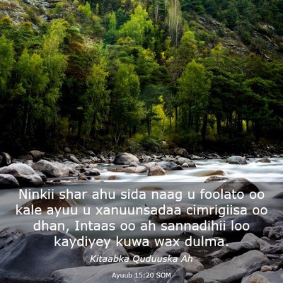 Picture 03 - Ayuub 15:20 SOM - Ninkii shar ahu sida naag u foolato oo kale ayuu - Bible Verse Picture