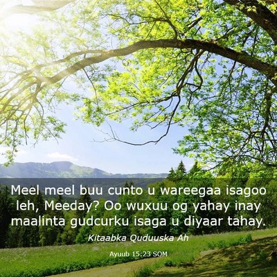 Picture 03 - Ayuub 15:23 SOM - Meel meel buu cunto u wareegaa isagoo leh, - Bible Verse Picture