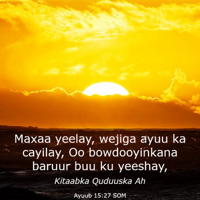 Picture 03 - Ayuub 15:27 SOM - Maxaa yeelay, wejiga ayuu ka cayilay, Oo - Bible Verse Picture