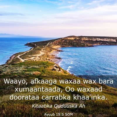 Picture 03 - Ayuub 15:5 SOM - Waayo, afkaaga waxaa wax bara xumaantaada, Oo - Bible Verse Picture