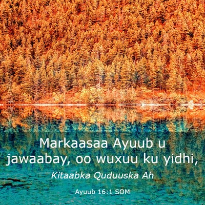 Picture 03 - Ayuub 16:1 SOM - Markaasaa Ayuub u jawaabay, oo wuxuu ku - Bible Verse Picture