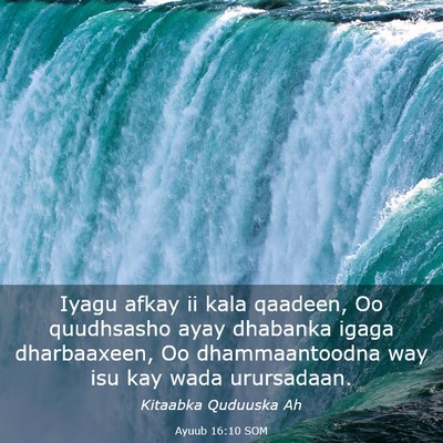 Picture 03 - Ayuub 16:10 SOM - Iyagu afkay ii kala qaadeen, Oo quudhsasho ayay - Bible Verse Picture