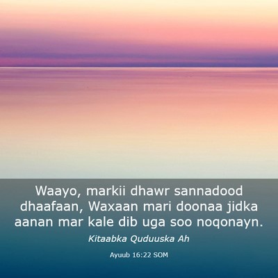 Picture 03 - Ayuub 16:22 SOM - Waayo, markii dhawr sannadood dhaafaan, Waxaan - Bible Verse Picture