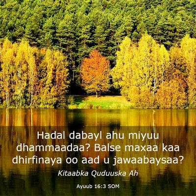 Picture 03 - Ayuub 16:3 SOM - Hadal dabayl ahu miyuu dhammaadaa? Balse maxaa - Bible Verse Picture