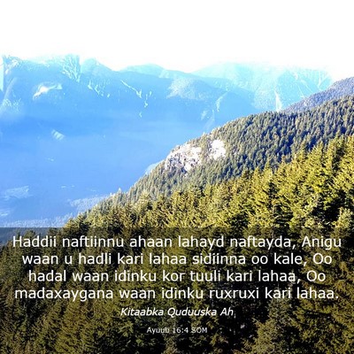 Picture 03 - Ayuub 16:4 SOM - Haddii naftiinnu ahaan lahayd naftayda, Anigu - Bible Verse Picture