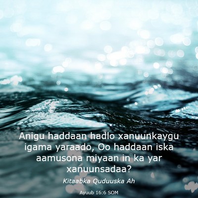 Picture 03 - Ayuub 16:6 SOM - Anigu haddaan hadlo xanuunkaygu igama yaraado, Oo - Bible Verse Picture