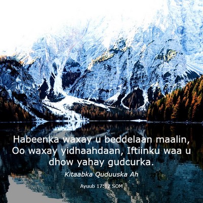 Picture 03 - Ayuub 17:12 SOM - Habeenka waxay u beddelaan maalin, Oo waxay - Bible Verse Picture