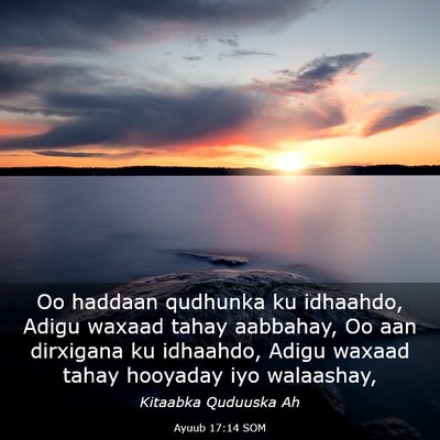Picture 03 - Ayuub 17:14 SOM - Oo haddaan qudhunka ku idhaahdo, Adigu waxaad - Bible Verse Picture