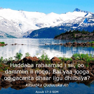 Picture 03 - Ayuub 17:3 SOM - Haddaba rahaamad i sii, oo dammiin ii noqo; Bal - Bible Verse Picture