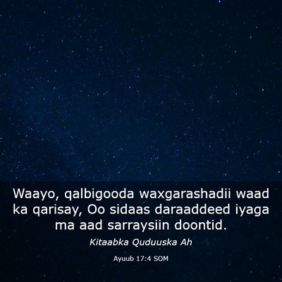 Picture 03 - Ayuub 17:4 SOM - Waayo, qalbigooda waxgarashadii waad ka qarisay, - Bible Verse Picture