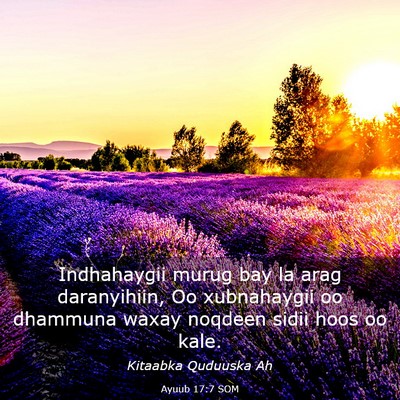 Picture 03 - Ayuub 17:7 SOM - Indhahaygii murug bay la arag daranyihiin, Oo - Bible Verse Picture
