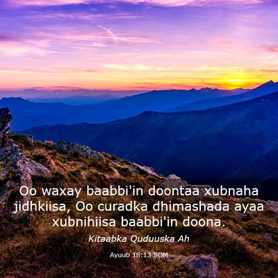 Picture 03 - Ayuub 18:13 SOM - Oo waxay baabbi'in doontaa xubnaha jidhkiisa, Oo - Bible Verse Picture