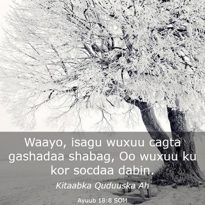 Picture 03 - Ayuub 18:8 SOM - Waayo, isagu wuxuu cagta gashadaa shabag, Oo - Bible Verse Picture