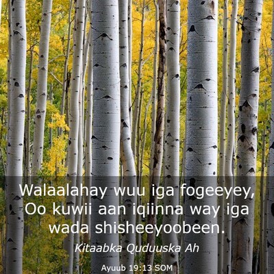 Picture 03 - Ayuub 19:13 SOM - Walaalahay wuu iga fogeeyey, Oo kuwii aan iqiinna - Bible Verse Picture