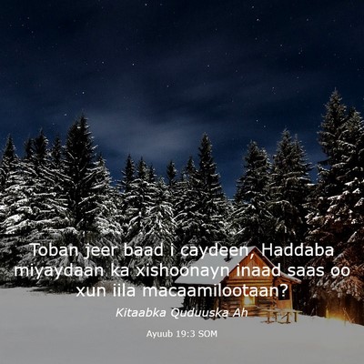 Picture 03 - Ayuub 19:3 SOM - Toban jeer baad i caydeen, Haddaba miyaydaan ka - Bible Verse Picture