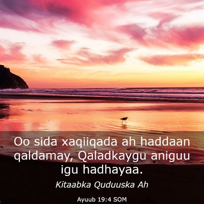 Picture 03 - Ayuub 19:4 SOM - Oo sida xaqiiqada ah haddaan qaldamay, Qaladkaygu - Bible Verse Picture