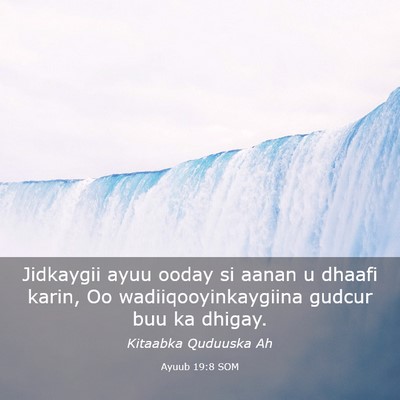 Picture 03 - Ayuub 19:8 SOM - Jidkaygii ayuu ooday si aanan u dhaafi karin, Oo - Bible Verse Picture