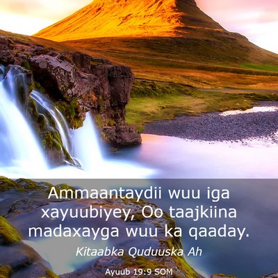 Picture 03 - Ayuub 19:9 SOM - Ammaantaydii wuu iga xayuubiyey, Oo taajkiina - Bible Verse Picture