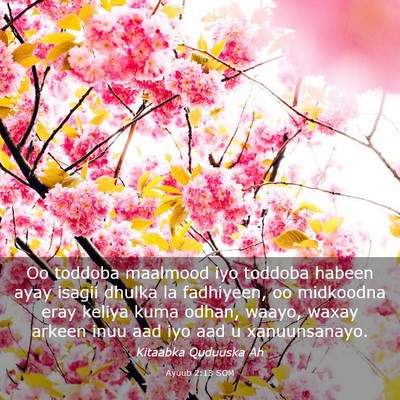 Picture 03 - Ayuub 2:13 SOM - Oo toddoba maalmood iyo toddoba habeen ayay - Bible Verse Picture