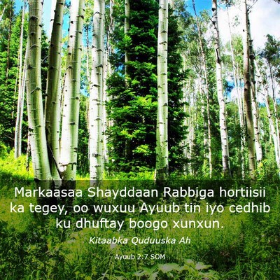 Picture 03 - Ayuub 2:7 SOM - Markaasaa Shayddaan Rabbiga hortiisii ka tegey, - Bible Verse Picture