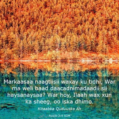 Picture 03 - Ayuub 2:9 SOM - Markaasaa naagtiisii waxay ku tidhi, War ma weli - Bible Verse Picture