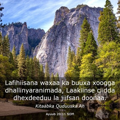 Picture 03 - Ayuub 20:11 SOM - Lafihiisana waxaa ka buuxa xoogga - Bible Verse Picture