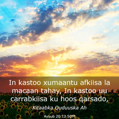 Picture 03 - Ayuub 20:12 SOM - In kastoo xumaantu afkiisa la macaan tahay, In - Bible Verse Picture