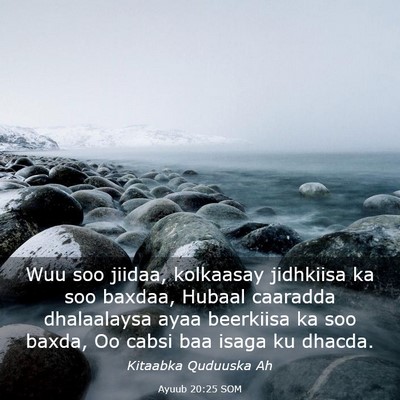 Picture 03 - Ayuub 20:25 SOM - Wuu soo jiidaa, kolkaasay jidhkiisa ka soo - Bible Verse Picture