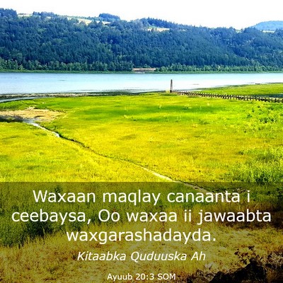 Picture 03 - Ayuub 20:3 SOM - Waxaan maqlay canaanta i ceebaysa, Oo waxaa ii - Bible Verse Picture