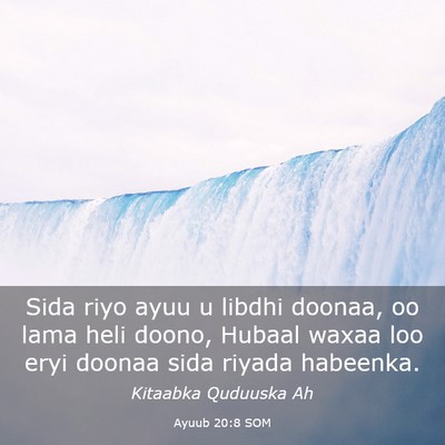 Picture 03 - Ayuub 20:8 SOM - Sida riyo ayuu u libdhi doonaa, oo lama heli - Bible Verse Picture