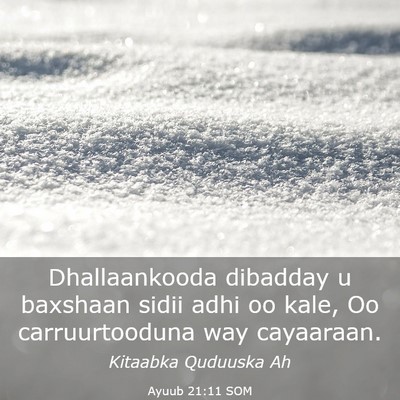 Picture 03 - Ayuub 21:11 SOM - Dhallaankooda dibadday u baxshaan sidii adhi oo - Bible Verse Picture