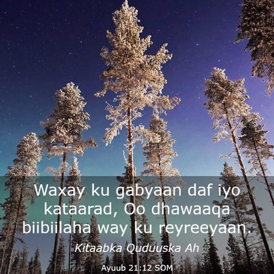 Picture 03 - Ayuub 21:12 SOM - Waxay ku gabyaan daf iyo kataarad, Oo dhawaaqa - Bible Verse Picture