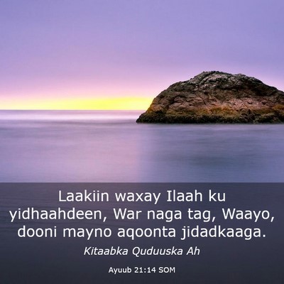 Picture 03 - Ayuub 21:14 SOM - Laakiin waxay Ilaah ku yidhaahdeen, War naga tag, - Bible Verse Picture