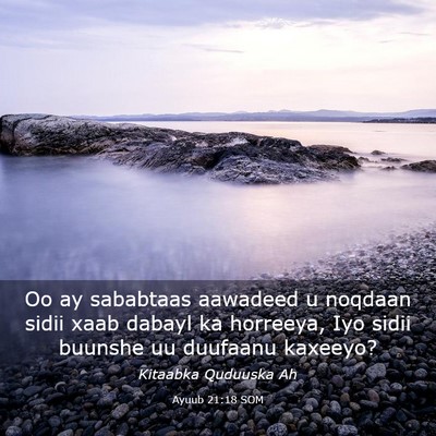 Picture 03 - Ayuub 21:18 SOM - Oo ay sababtaas aawadeed u noqdaan sidii xaab - Bible Verse Picture