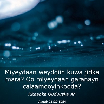 Picture 03 - Ayuub 21:29 SOM - Miyeydaan weyddiin kuwa jidka mara? Oo miyeydaan - Bible Verse Picture