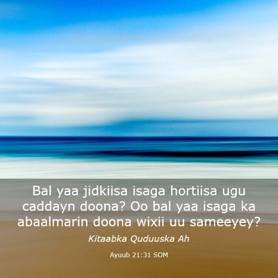 Picture 03 - Ayuub 21:31 SOM - Bal yaa jidkiisa isaga hortiisa ugu caddayn - Bible Verse Picture